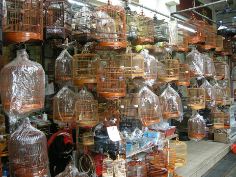 园圃街雀鸟公园-香港必去景点