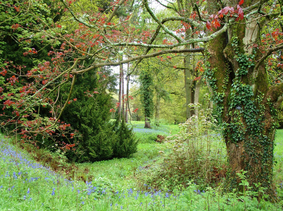 Wakehurst景点图片