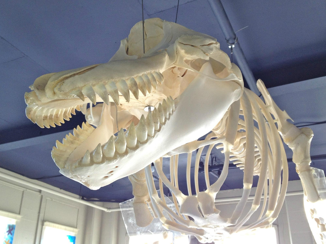 Sitka Sound Science Center-锡特卡必去景点