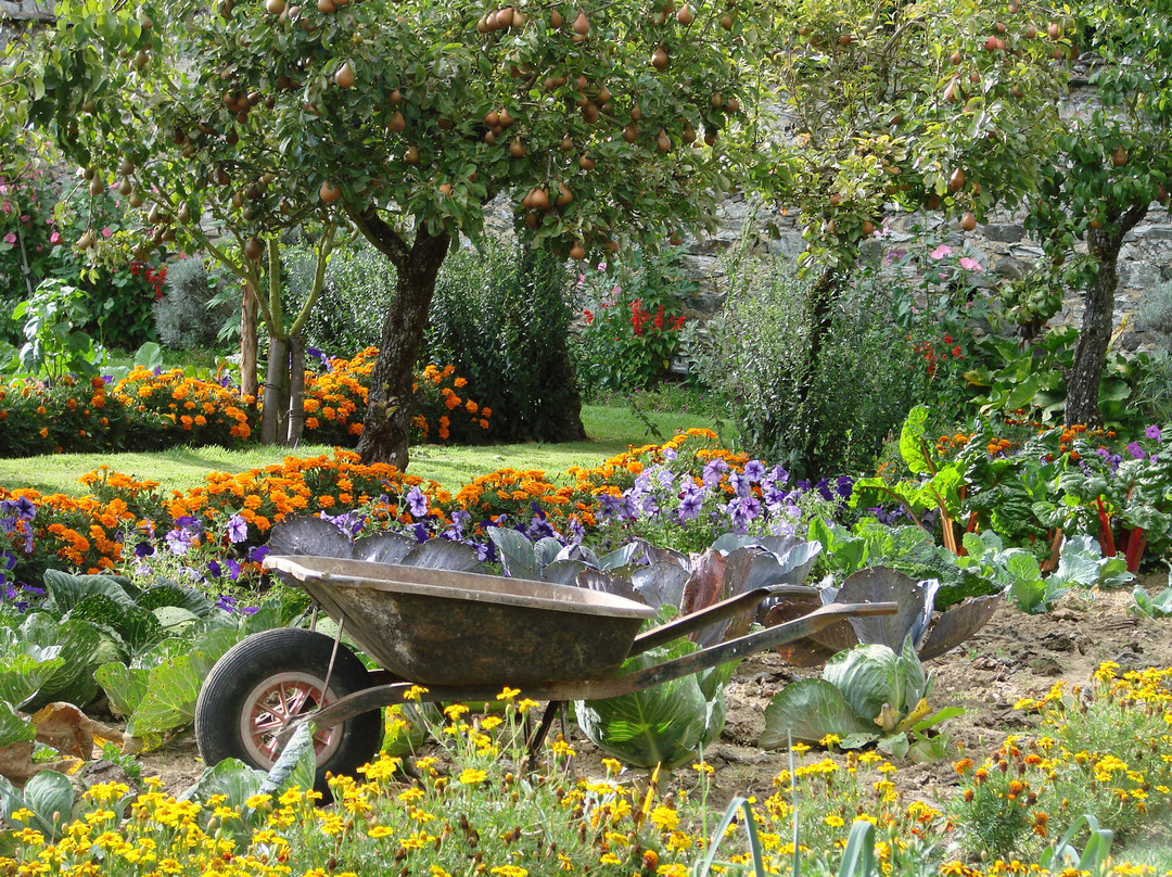 Chateau de Montriou主图