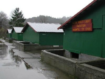 Mad River Hatchery景点图片
