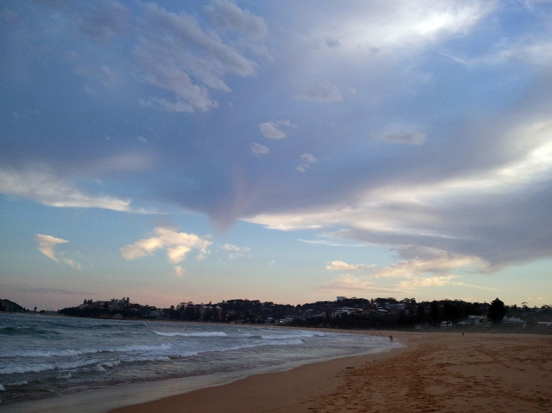 Terrigal Beach景点图片