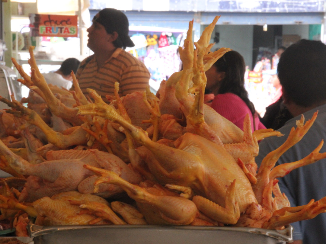 Otavalo Market景点图片