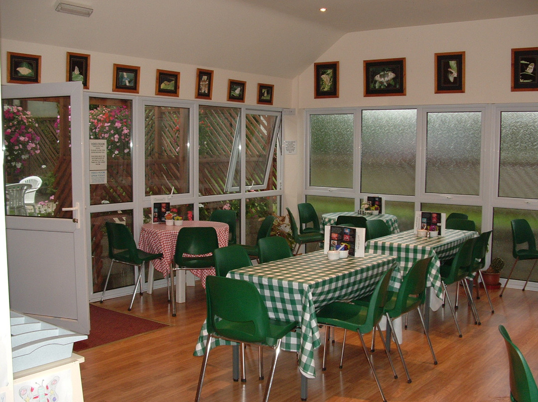 Felinwynt Rainforest Centre-Felinwynt必去景点