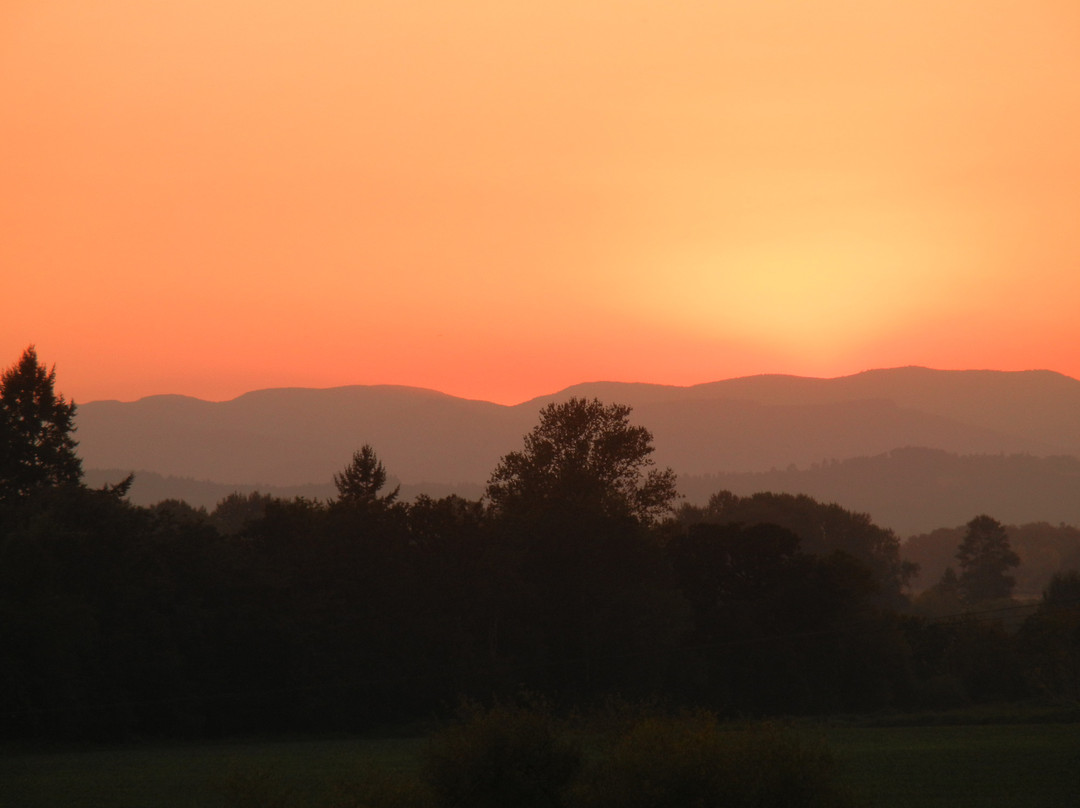 Ankeny Vineyard-塞勒姆必去景点