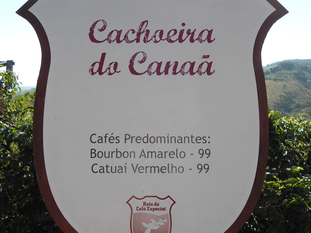 Rota do Café Especial景点图片