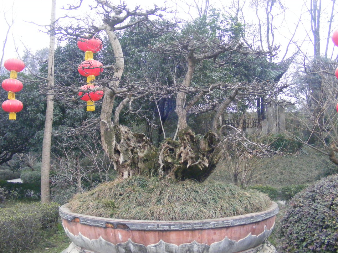 都江堰森林公园-都江堰市必去景点