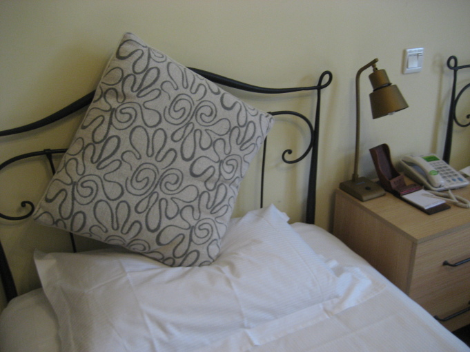 帅府铂颂饭店(武汉大学店)-客卧