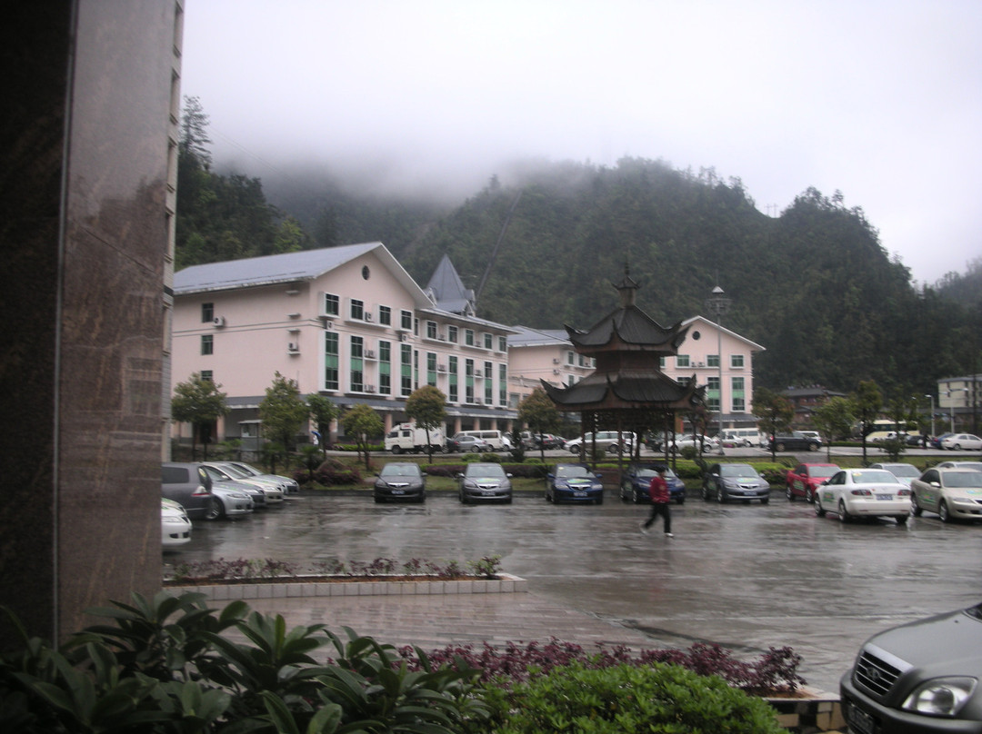 郴州莽山国家森林公园-宜章县必去景点