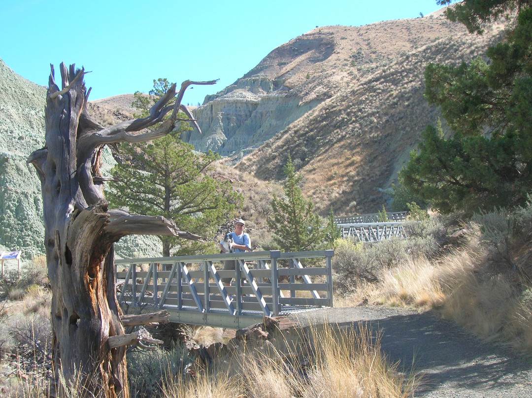 Fish House Inn and RV Park