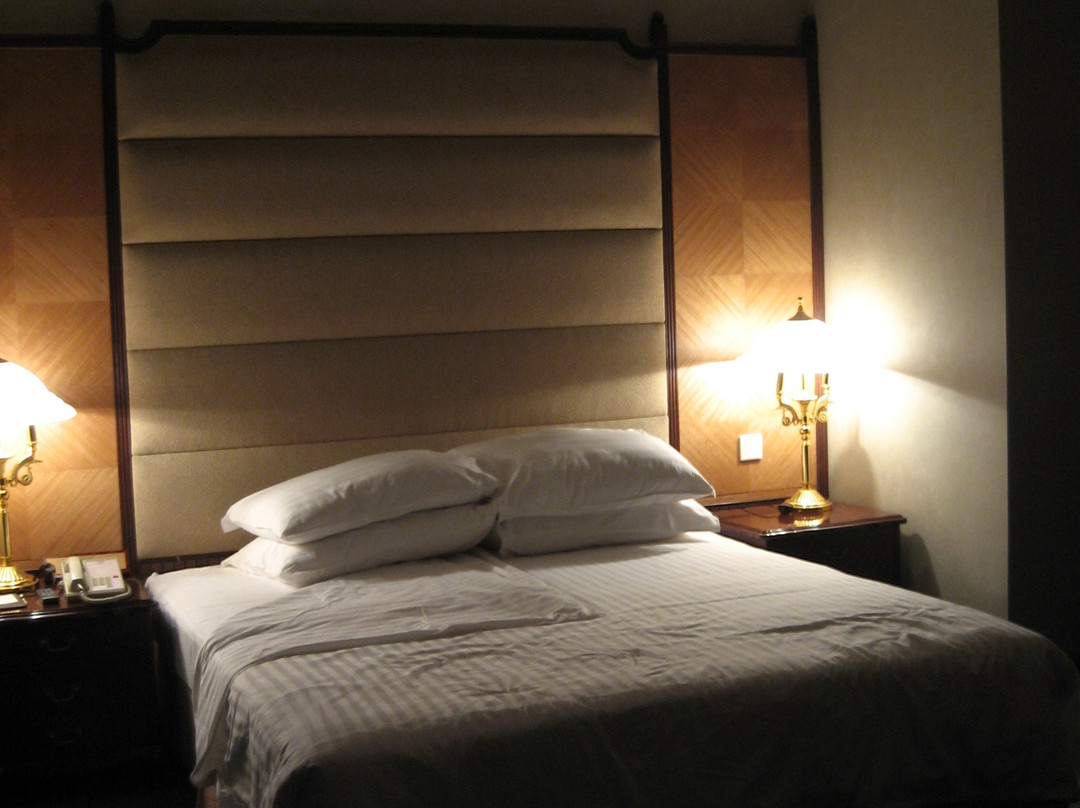 乌鲁木齐银星大酒店（德汇万达广场奇台路店）主图