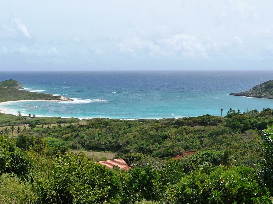 Half Moon Bay-Saint Philips必去景点
