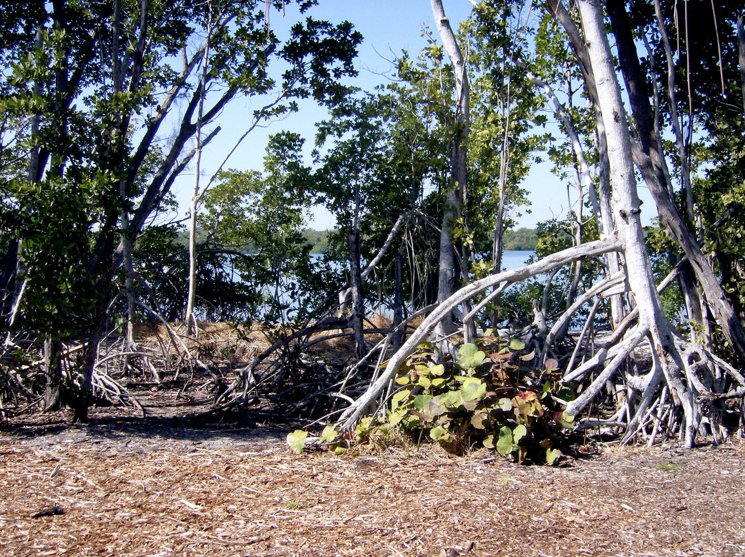 Gumbo Limbo Nature Center-博卡拉顿必去景点
