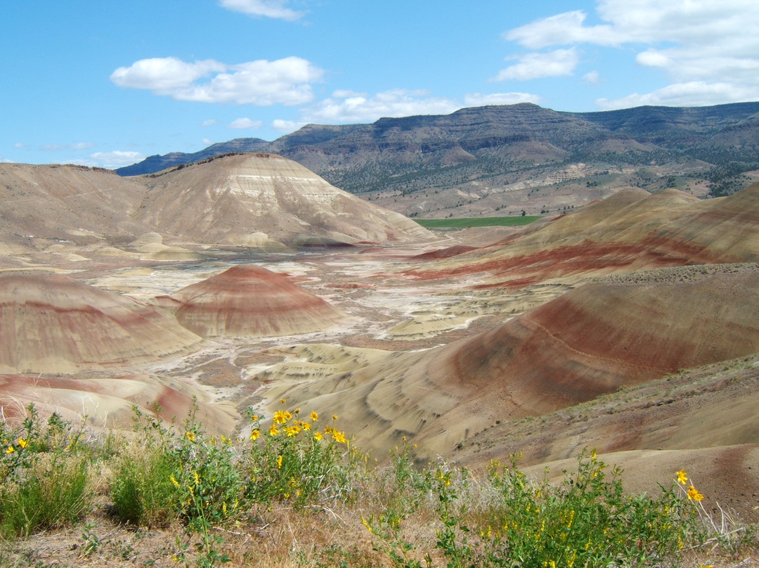 John Day Fossil Beds National Monument景点图片