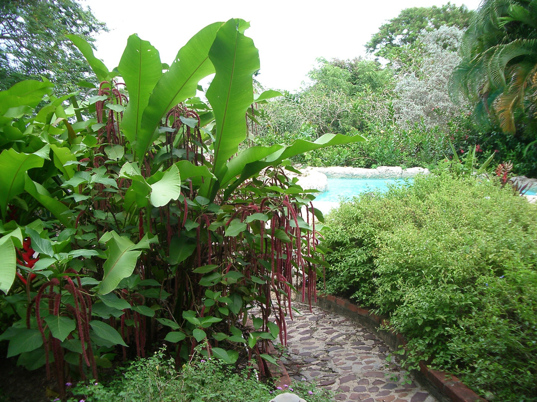 Andromeda Botanic Gardens-Bathsheba必去景点
