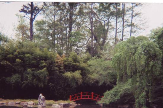 Birmingham Botanical Gardens-伯明翰必去景点