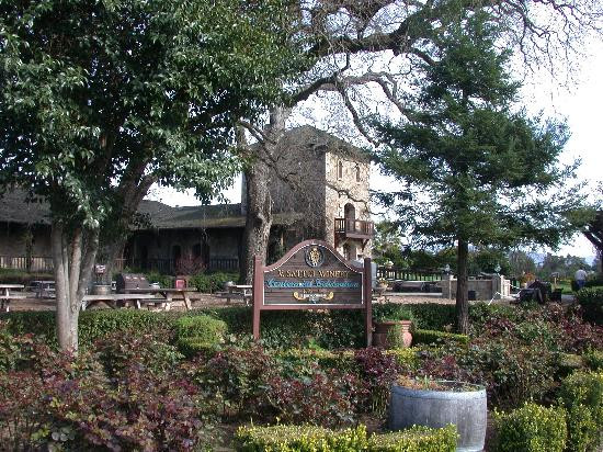 维萨图依酒庄-圣海伦娜必去景点