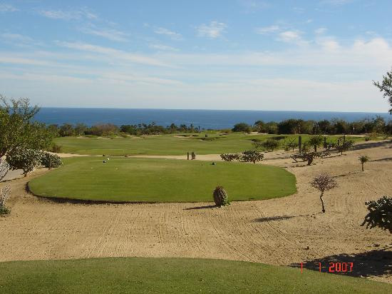 Desert Course at Cabo del Sol-洛斯卡布斯必去景点
