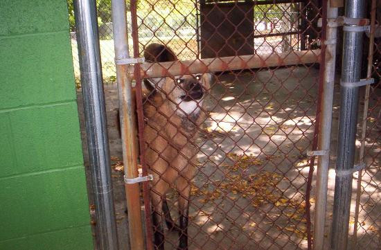Louisville Zoo-路易斯维尔必去景点