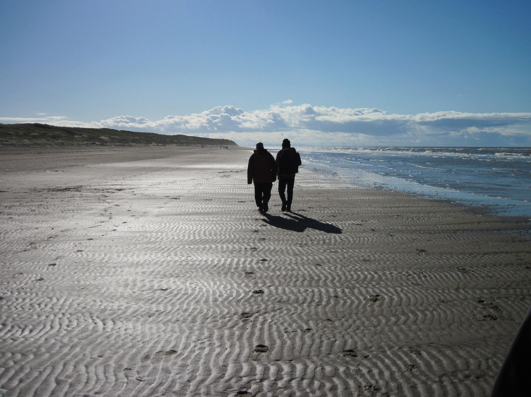 Formby Beach (national Trust)-Formby必去景点
