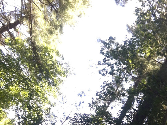 Good 2 Go Cafe & Creamery