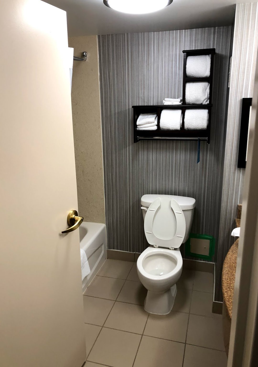 Hampton Inn & Suites by Hilton Toronto Airport-浴室
