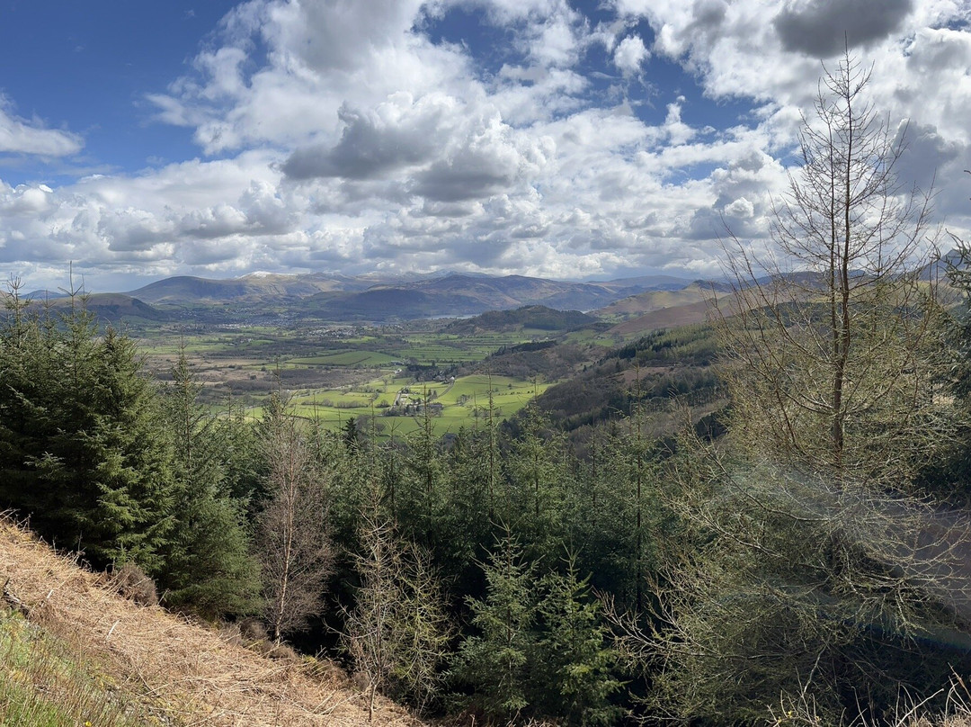 Whinlatter Forest-Braithwaite必去景点