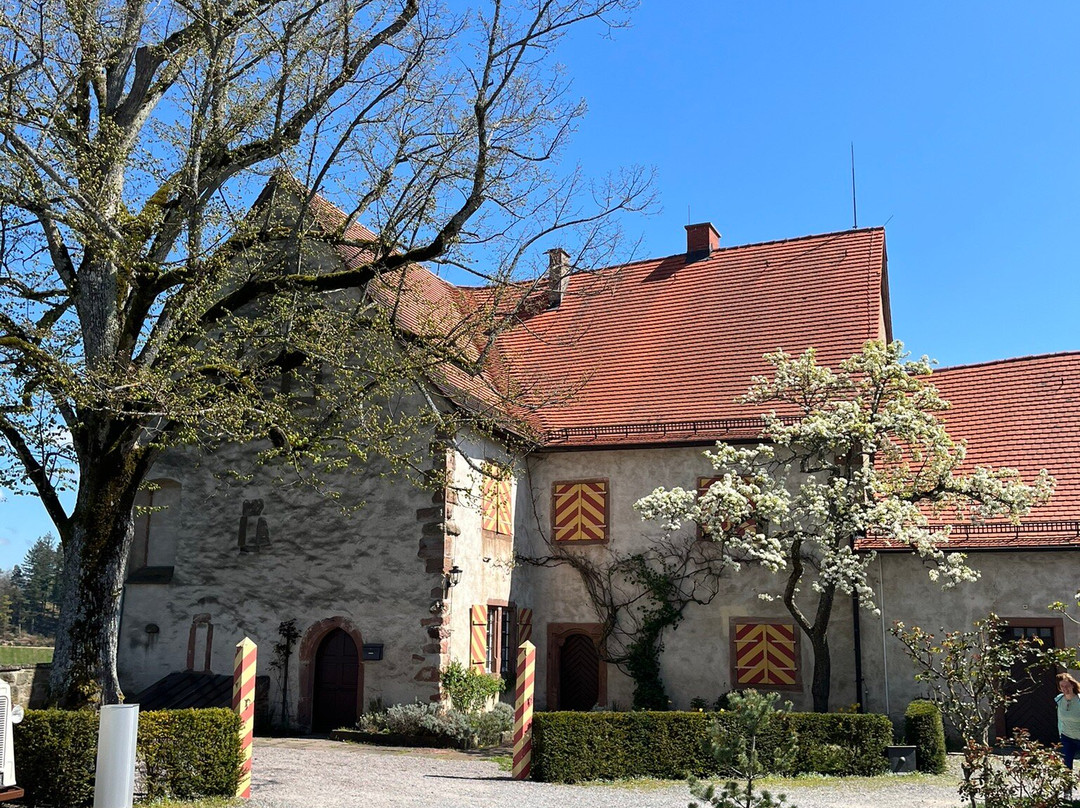 Weingut Schloss Staufenberg景点图片