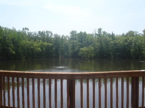 Three Lakes Park & Nature Center-里士满必去景点