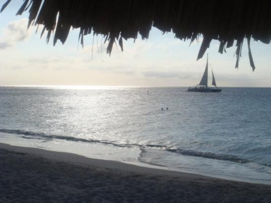 Eagle Beach-棕榈/鹰海滩必去景点