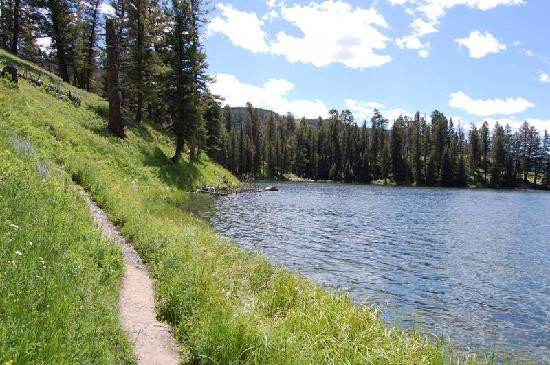Trout Lake Trail景点图片