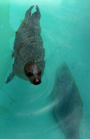 The Maritime Aquarium at Norwalk-诺沃克必去景点