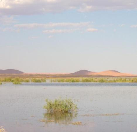 Merzouga Dunes-伊拉悉迪亚必去景点