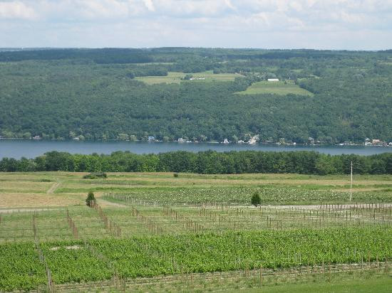 Heron Hill Winery景点图片