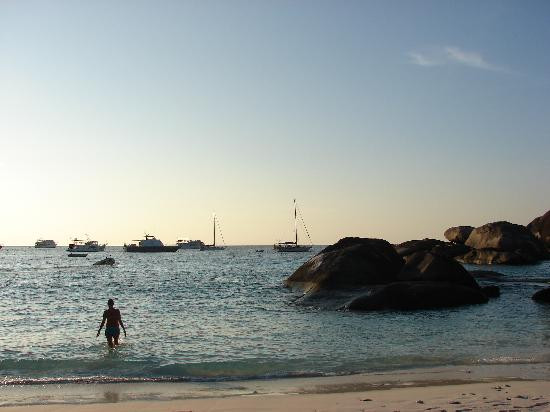 Sea Dragon Dive Center-拉克山必去景点