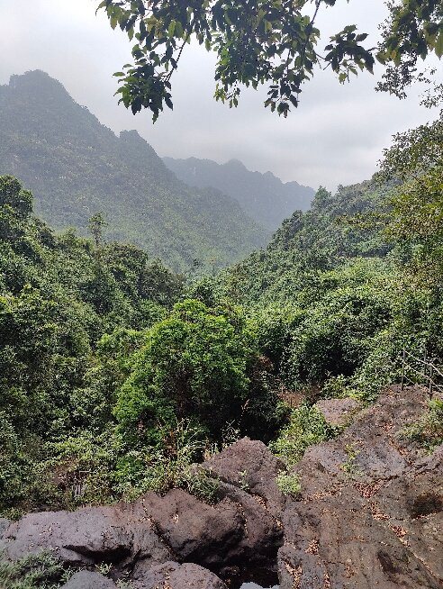 Wildlife And Jungle Adventure - Ecofoot景点图片