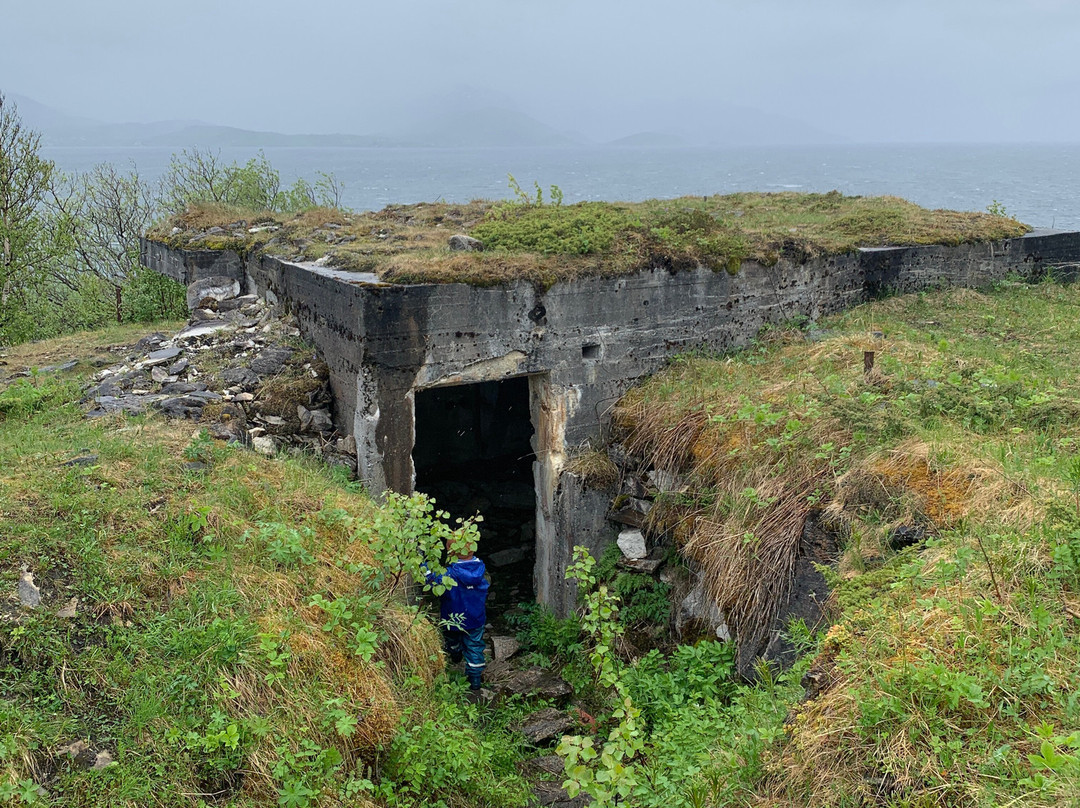 Krigsminner Evenestangen-Evenes必去景点