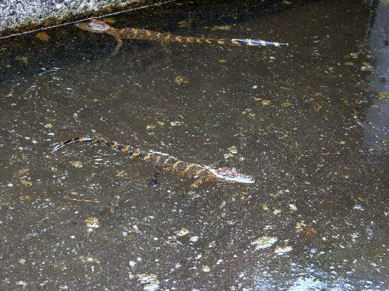 Beaver Springs Fishing Park-威斯康星峡谷必去景点