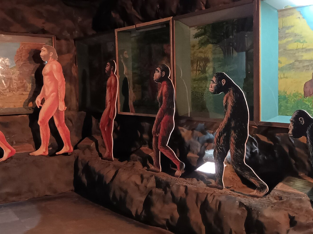 Regional Museum of Natural History-迈索尔必去景点