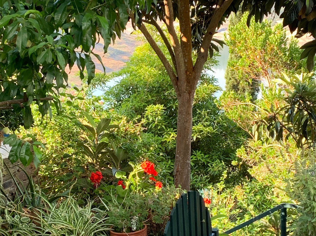 Paradise In Portugal主图