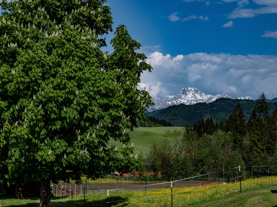 克拉梅罗夫酒店主图