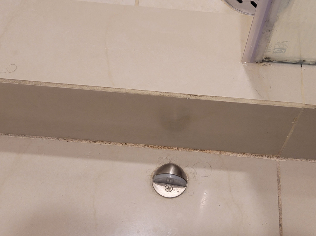 Wyndham Garden Guadalajara Acueducto主图