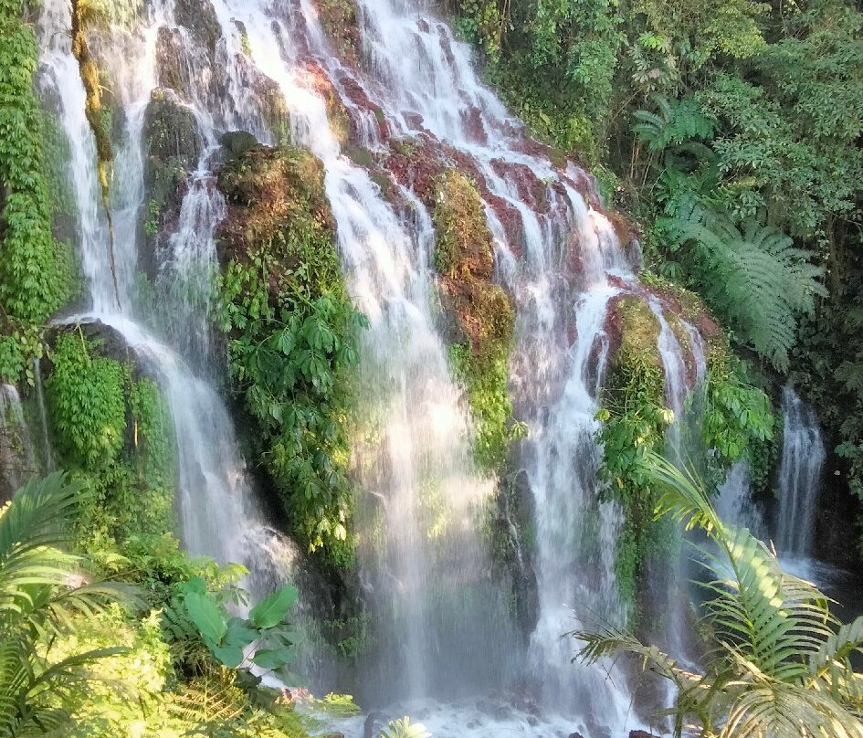 Banyu Wana Amertha Waterfall景点图片