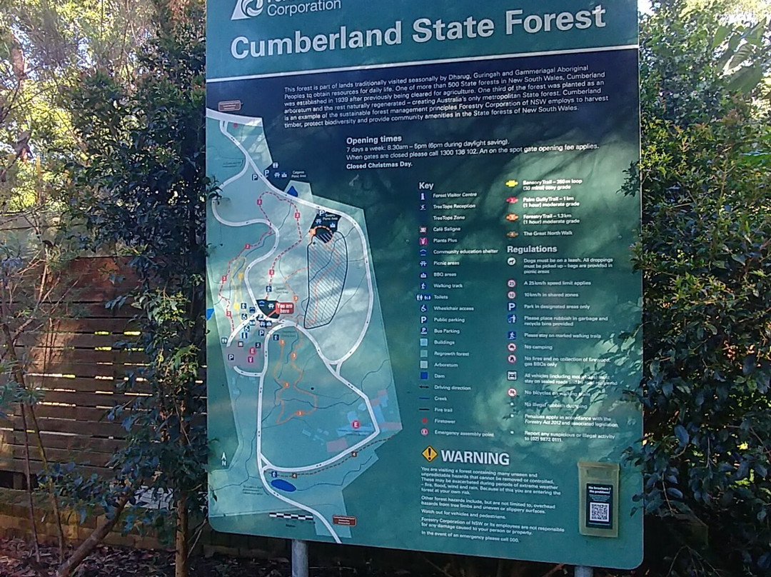 Cumberland State Forest景点图片