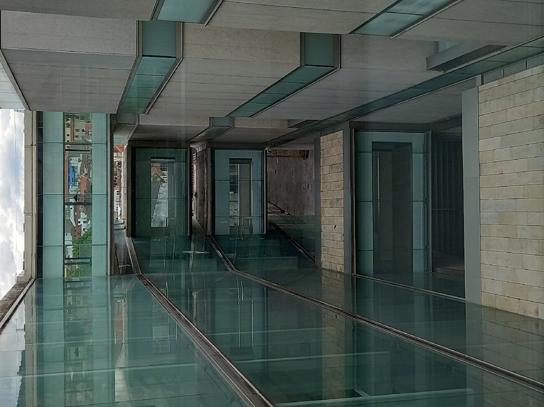 Museo de Pontevedra景点图片