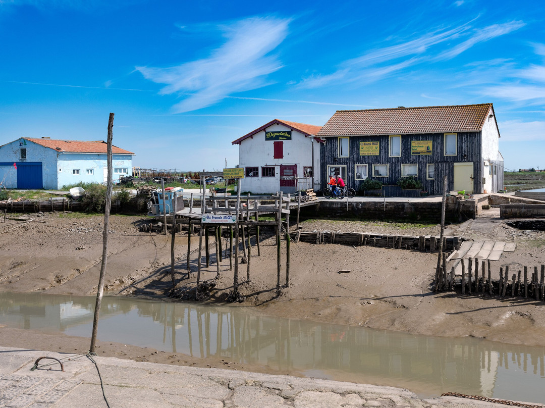 Port Ostréïcole De Marennes景点图片