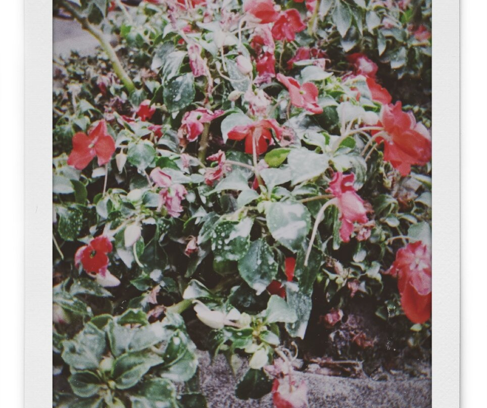 国色天乡乐园-成都必去景点