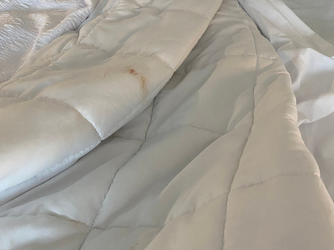 Hampton Inn By Hilton Detroit Southfield主图