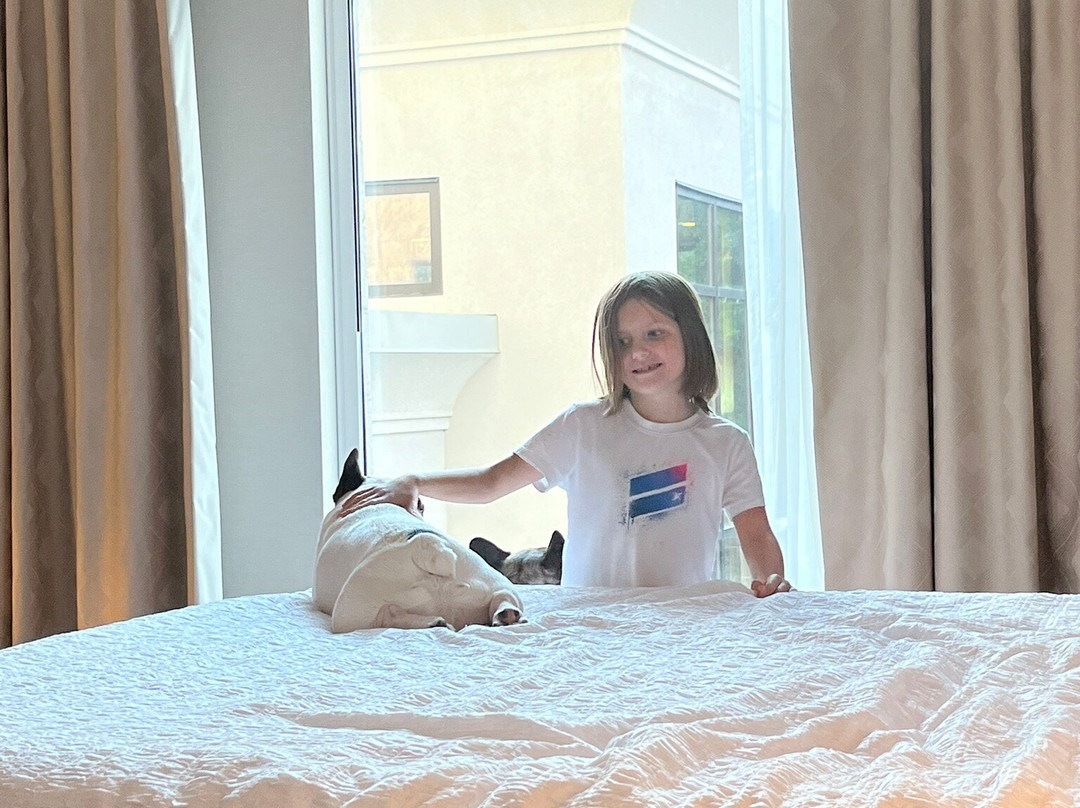 Chateau Fredericton, Trademark Collection by Wyndham主图