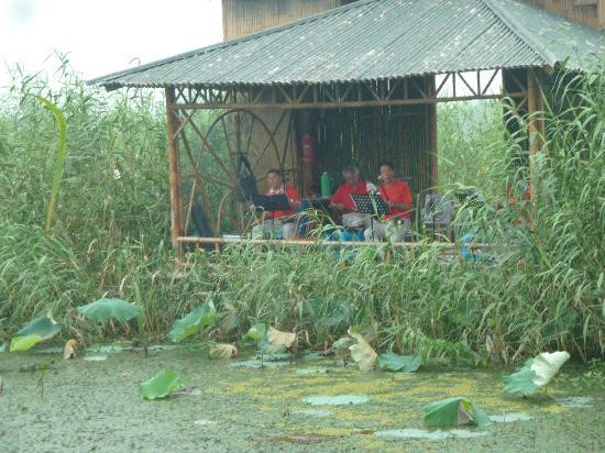 下渚湖风景区-德清县必去景点